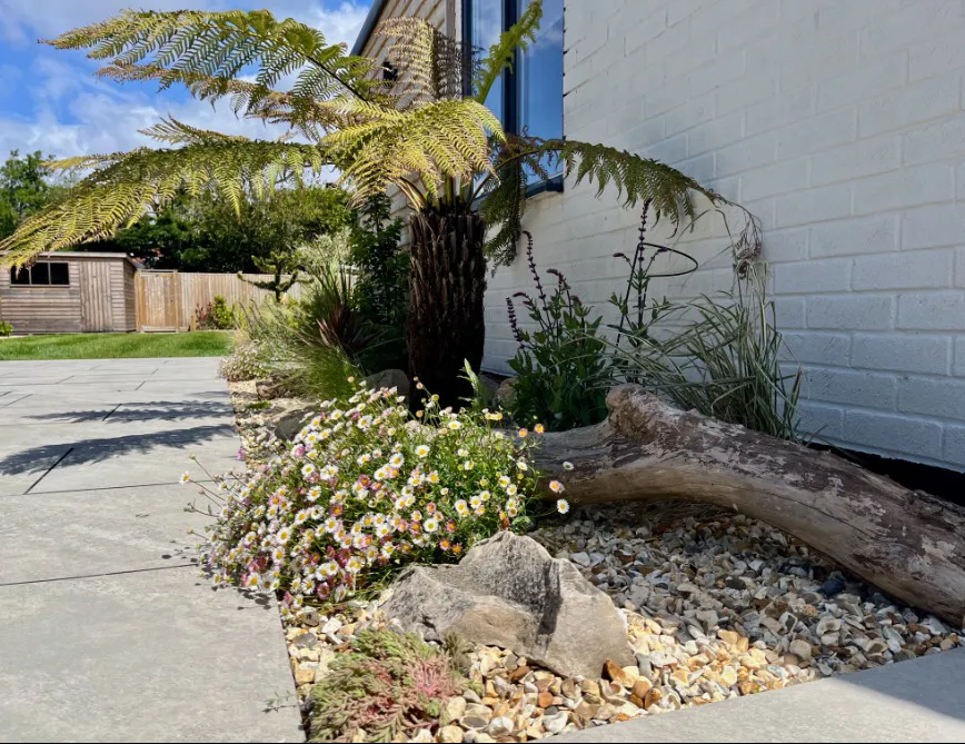 Driftwood from Berrow Beach placed among coastal planting and gravel borders at High Beach holiday cottage Somerset
